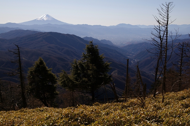 f:id:Argon:20111204212349j:image