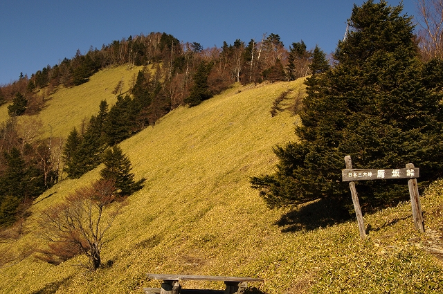 f:id:Argon:20111204212351j:image