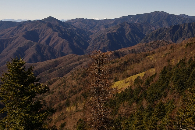 f:id:Argon:20111204212352j:image