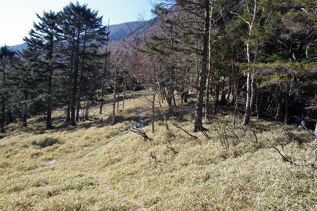 f:id:Argon:20120102165405j:image