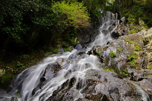 f:id:Argon:20120425211822j:image