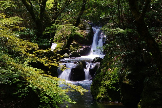 f:id:Argon:20120425211824j:image