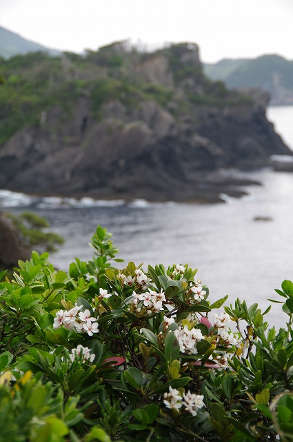 f:id:Argon:20120430210625j:image