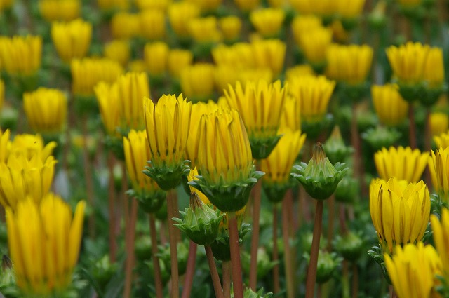 f:id:Argon:20120430211233j:image