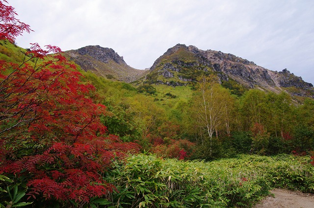 f:id:Argon:20121006195539j:image