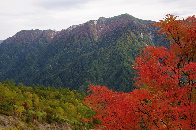 f:id:Argon:20121006195540j:image