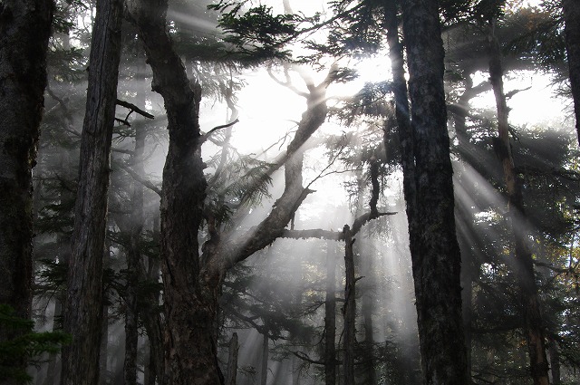 f:id:Argon:20121009215435j:image f:id:Argon:20121009215435j:image