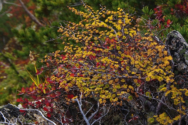 f:id:Argon:20121009223711j:image