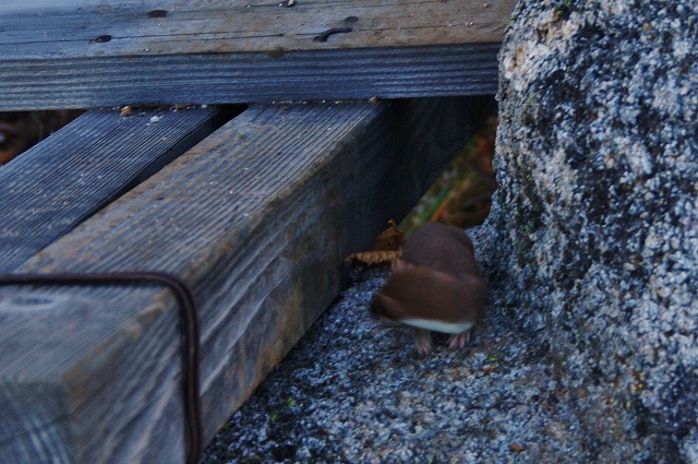 f:id:Argon:20121010220220j:image