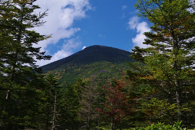 f:id:Argon:20121012175052j:image