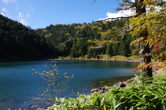 f:id:Argon:20121012175104j:image