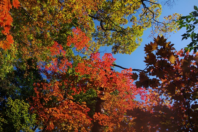 f:id:Argon:20121021185519j:image