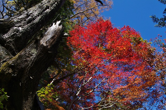f:id:Argon:20121105132232j:image f:id:Argon:20121105132232j:image