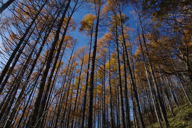 f:id:Argon:20121105192313j:image f:id:Argon:20121105192313j:image