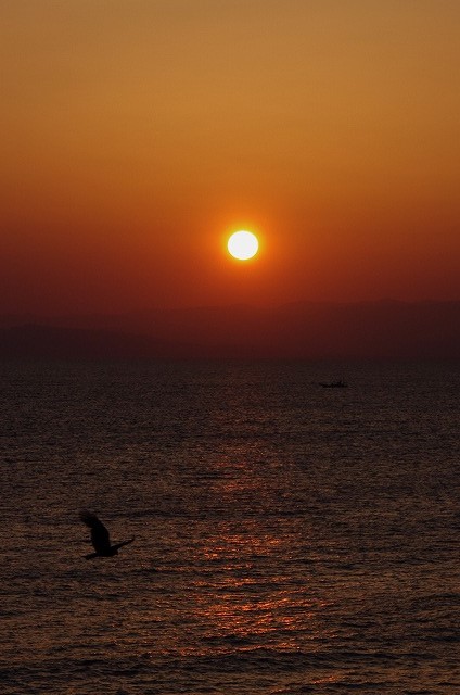 f:id:Argon:20130502123602j:image