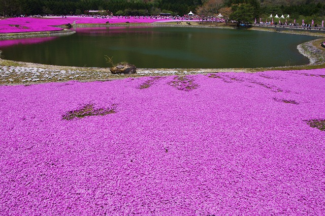 f:id:Argon:20130506180256j:image