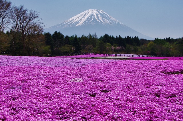 f:id:Argon:20130506180257j:image