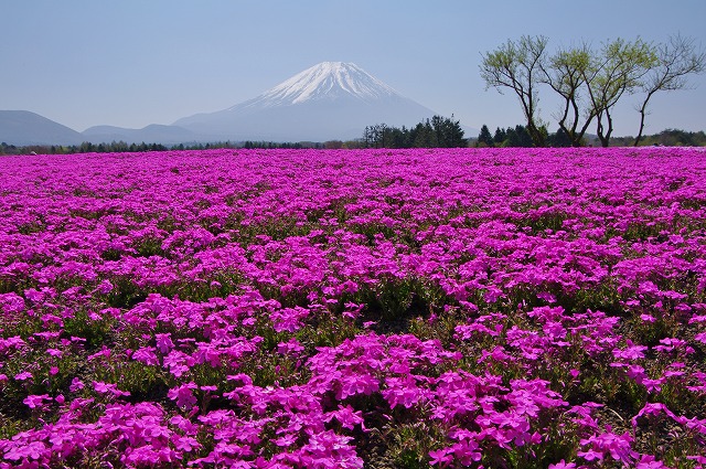 f:id:Argon:20130506180258j:image