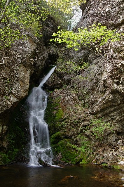 f:id:Argon:20130516194149j:image