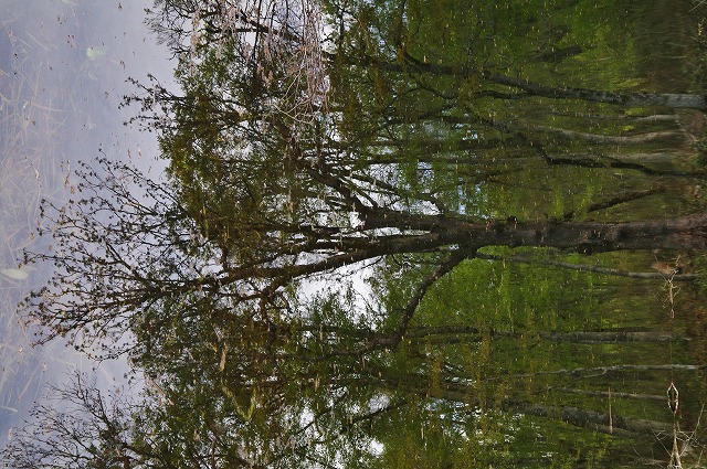 f:id:Argon:20130520231412j:image