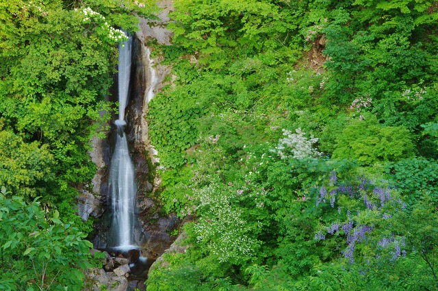 f:id:Argon:20130525012539j:image