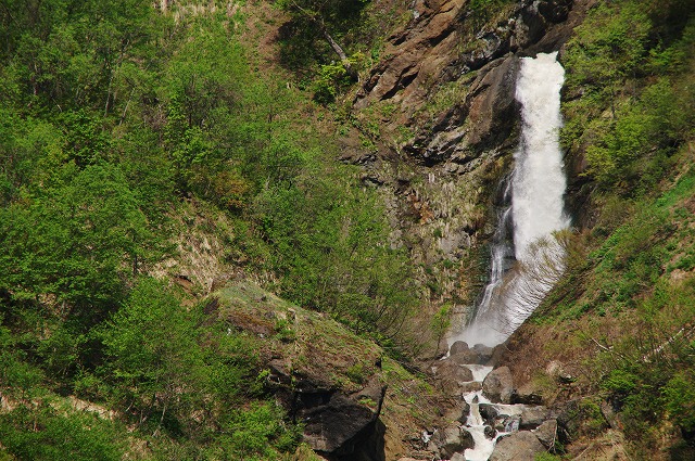 f:id:Argon:20130525012544j:image