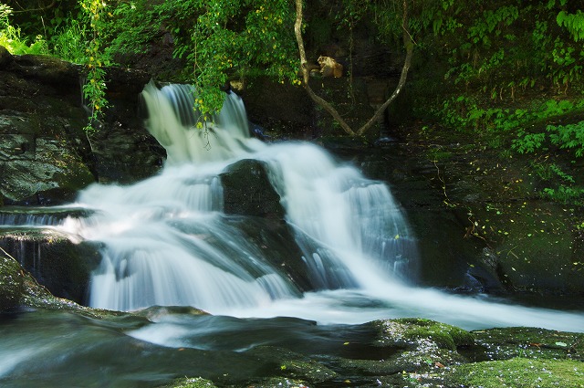 f:id:Argon:20130529185300j:image