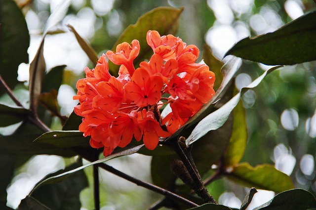 f:id:Argon:20130530004745j:image f:id:Argon:20130530004745j:image