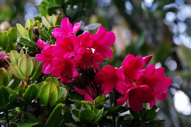 f:id:Argon:20130530020155j:image