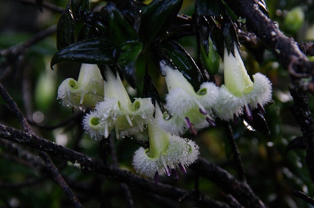 f:id:Argon:20130530020156j:image