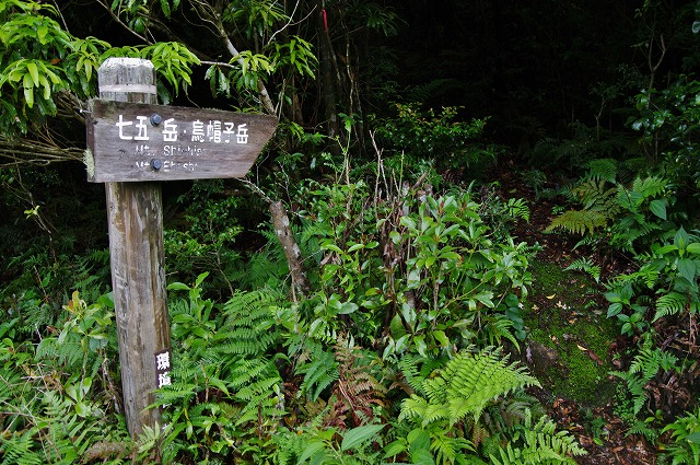 f:id:Argon:20130608123253j:image f:id:Argon:20130608123253j:image