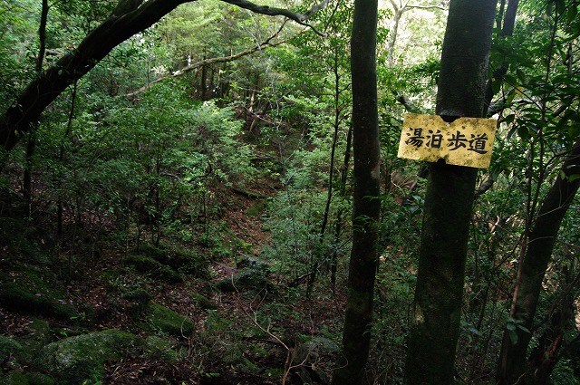 f:id:Argon:20130608133904j:image f:id:Argon:20130608133904j:image