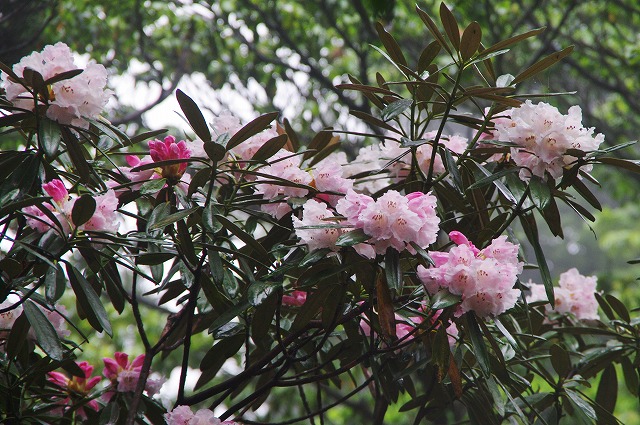 f:id:Argon:20130608133909j:image f:id:Argon:20130608133909j:image