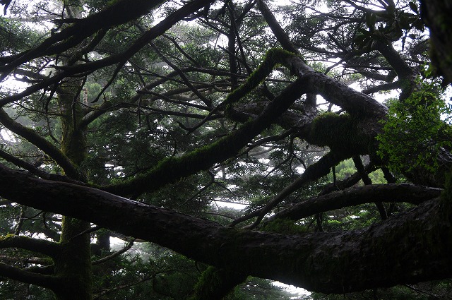 f:id:Argon:20130608133912j:image f:id:Argon:20130608133912j:image