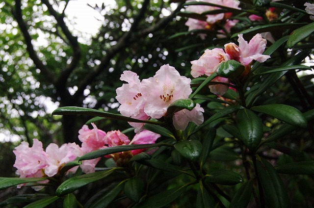 f:id:Argon:20130608153139j:image