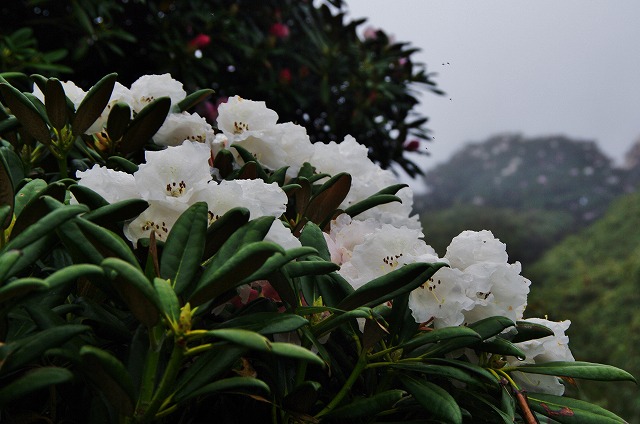 f:id:Argon:20130608201615j:image