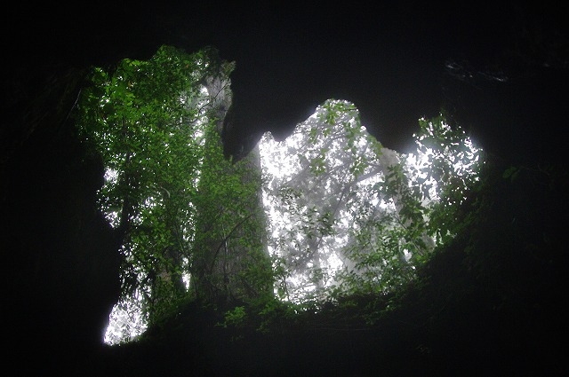 f:id:Argon:20130608201623j:image