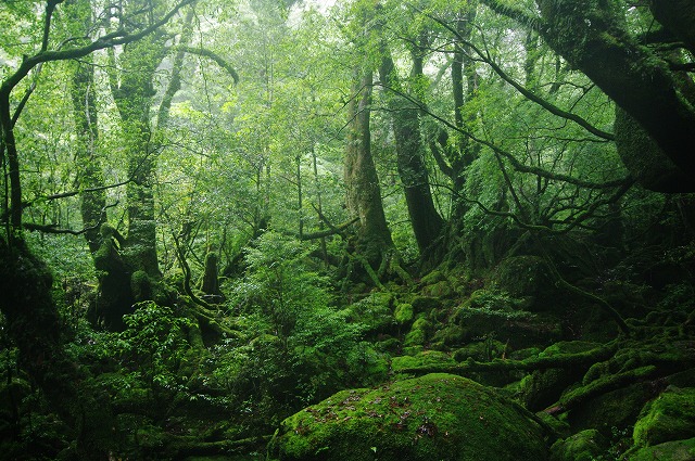 f:id:Argon:20130608201625j:image