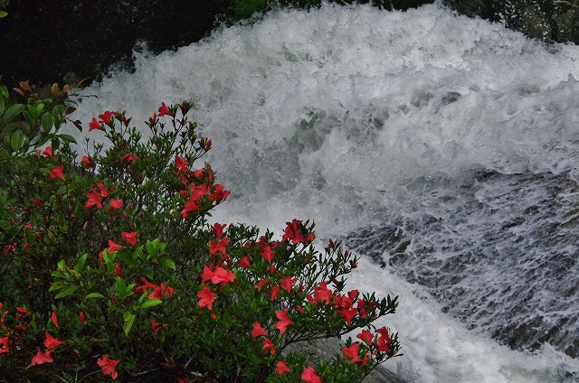 f:id:Argon:20130609123922j:image