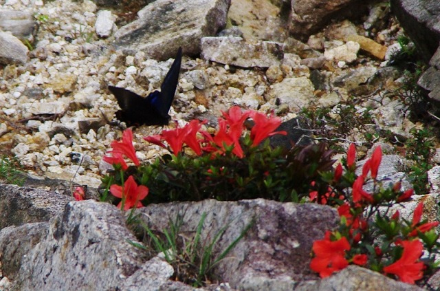 f:id:Argon:20130610100733j:image