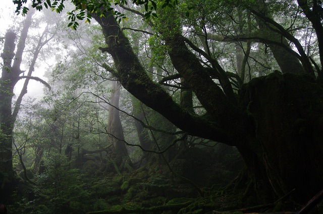 f:id:Argon:20130618011814j:image