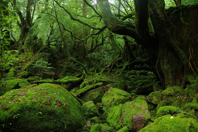 f:id:Argon:20130618011815j:image