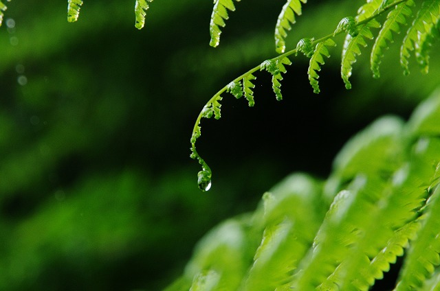 f:id:Argon:20130618011818j:image