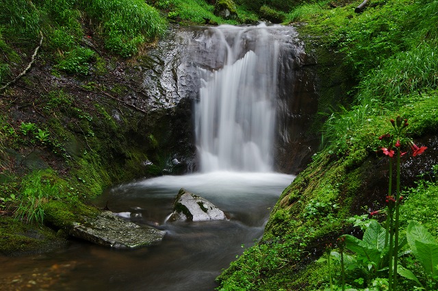 f:id:Argon:20130621011309j:image