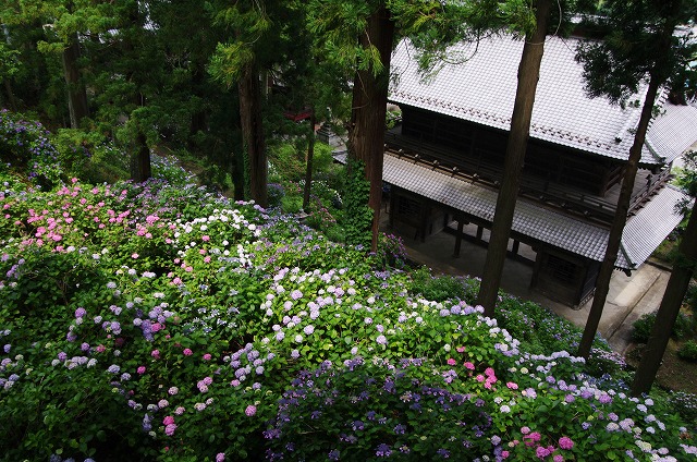 f:id:Argon:20130701211304j:image