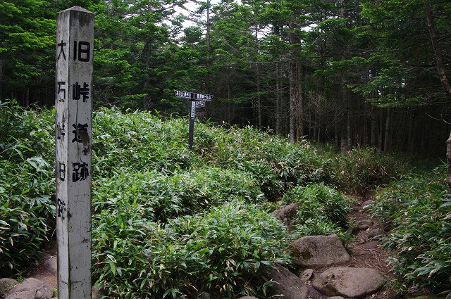 f:id:Argon:20130710221339j:image
