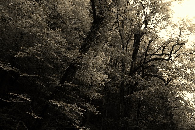 f:id:Argon:20130715224735j:image