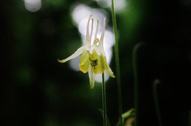 f:id:Argon:20130715224738j:image