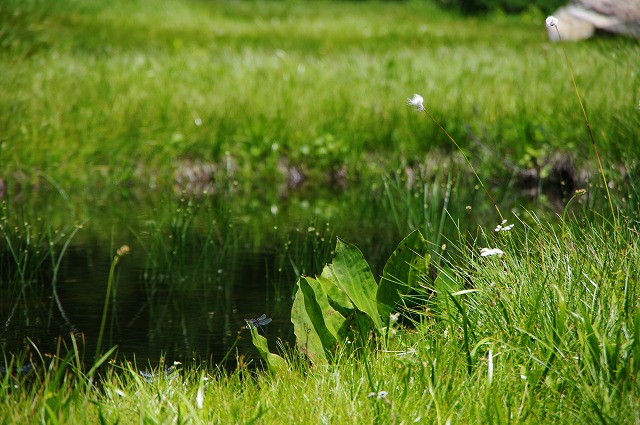 f:id:Argon:20130808001123j:image f:id:Argon:20130808001123j:image