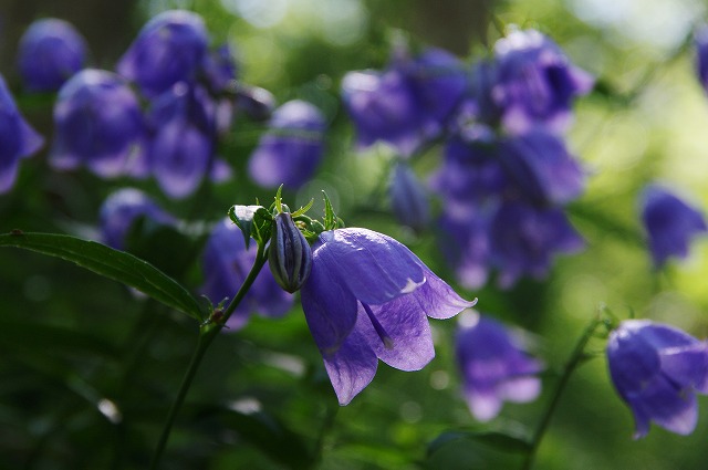 f:id:Argon:20130808001125j:image f:id:Argon:20130808001125j:image